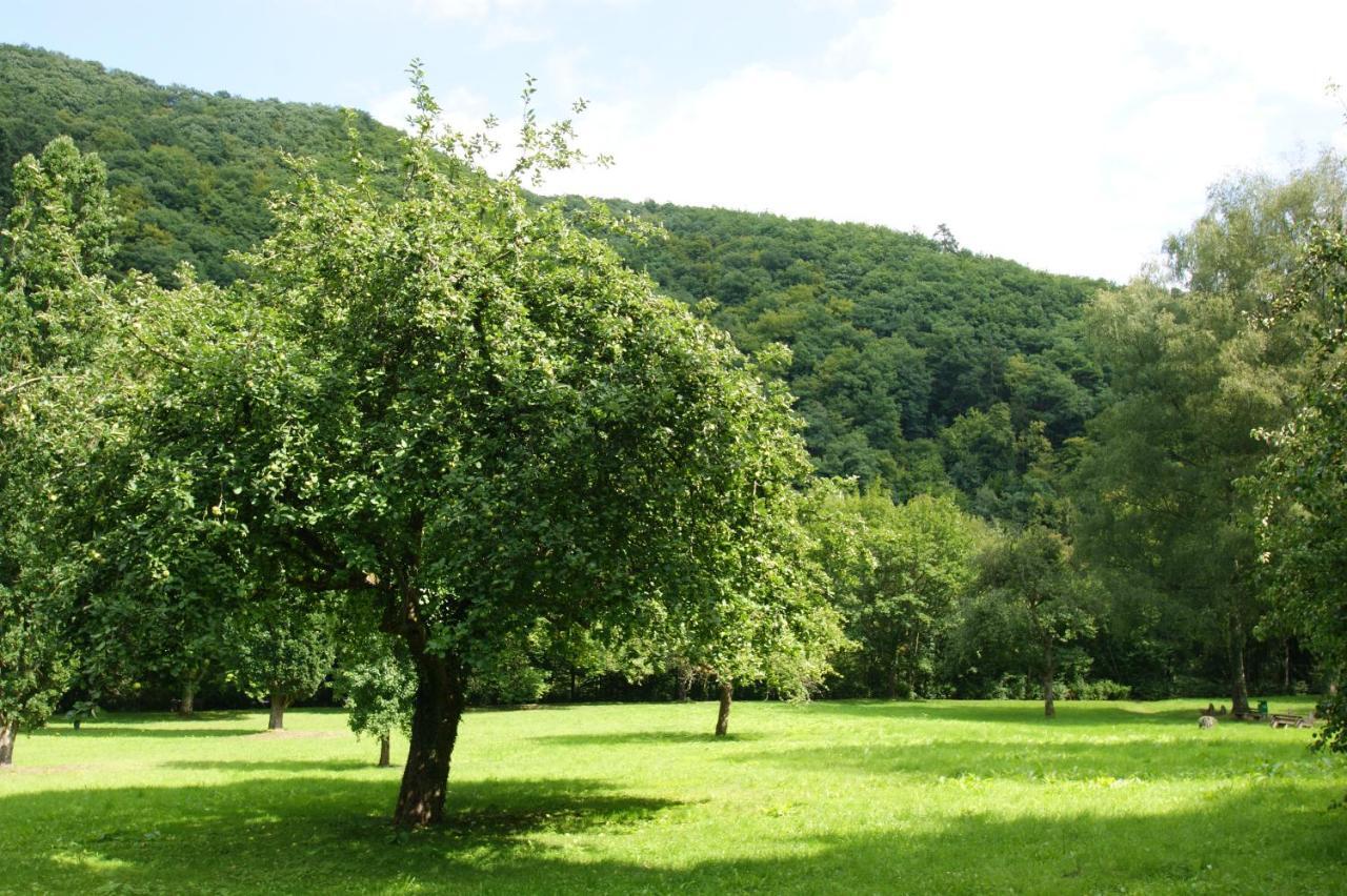 Bertricher Hof Bad Bertrich Exterior foto